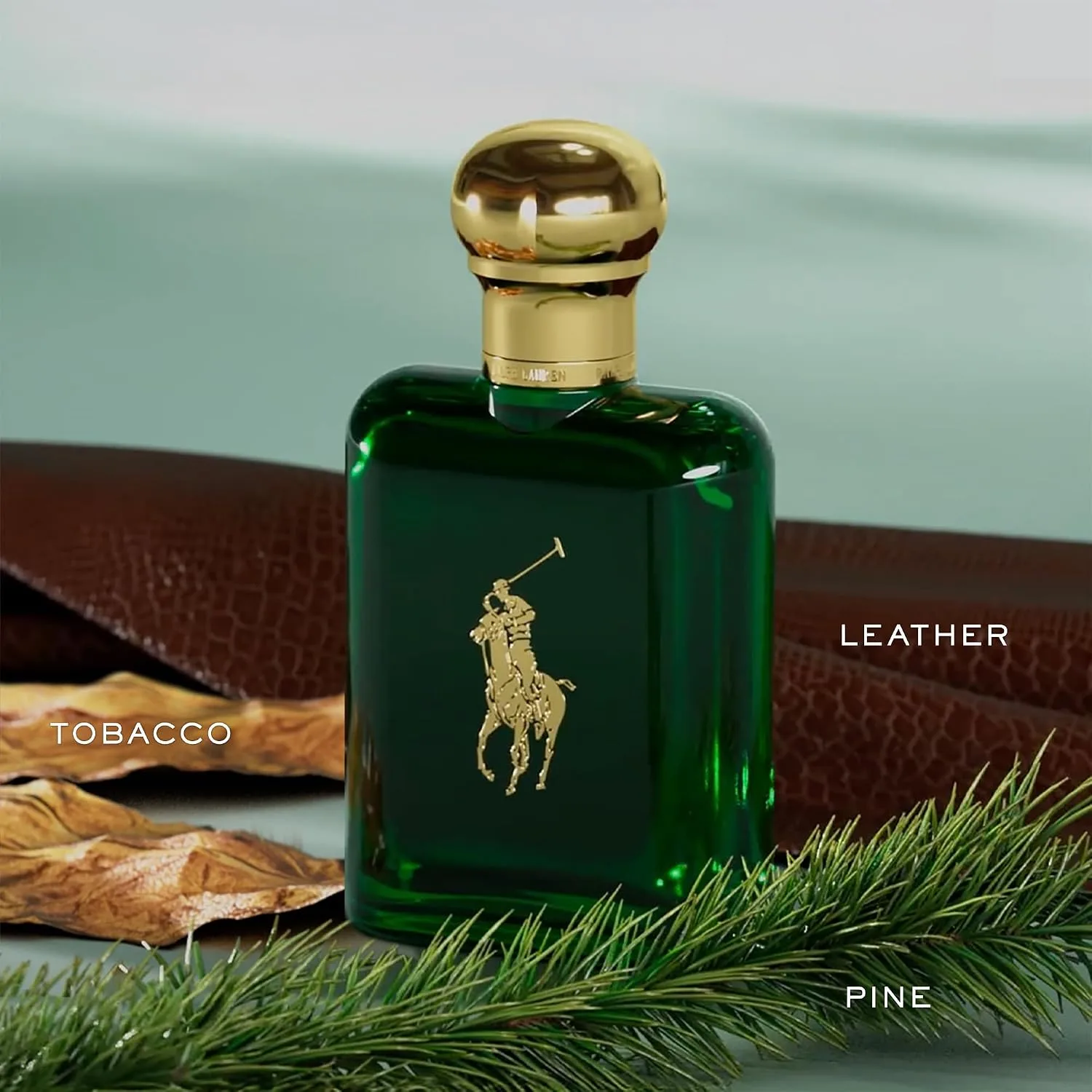 Ralph Lauren Polo Eau de Toilette - Woody Spicy Cologne for Men