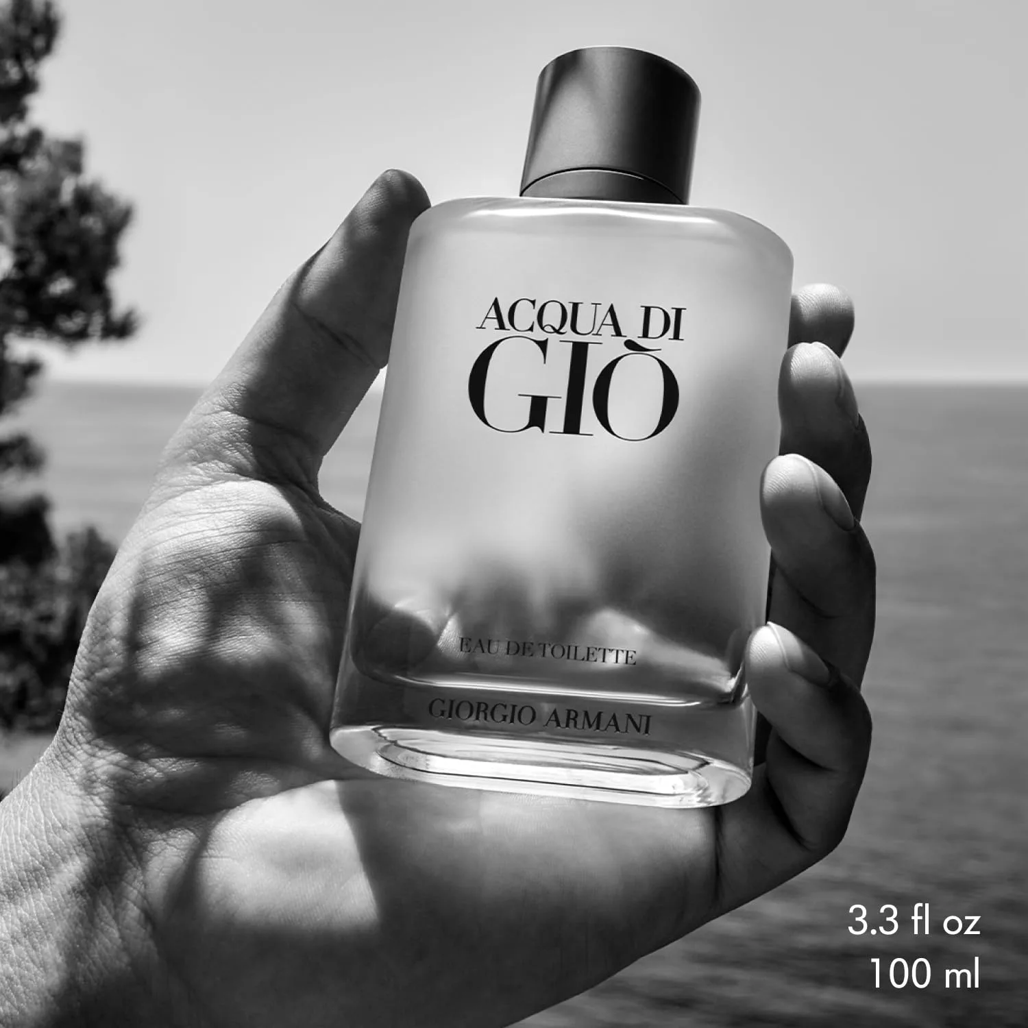 Giorgio Armani Acqua Di Giò Eau de Toilette