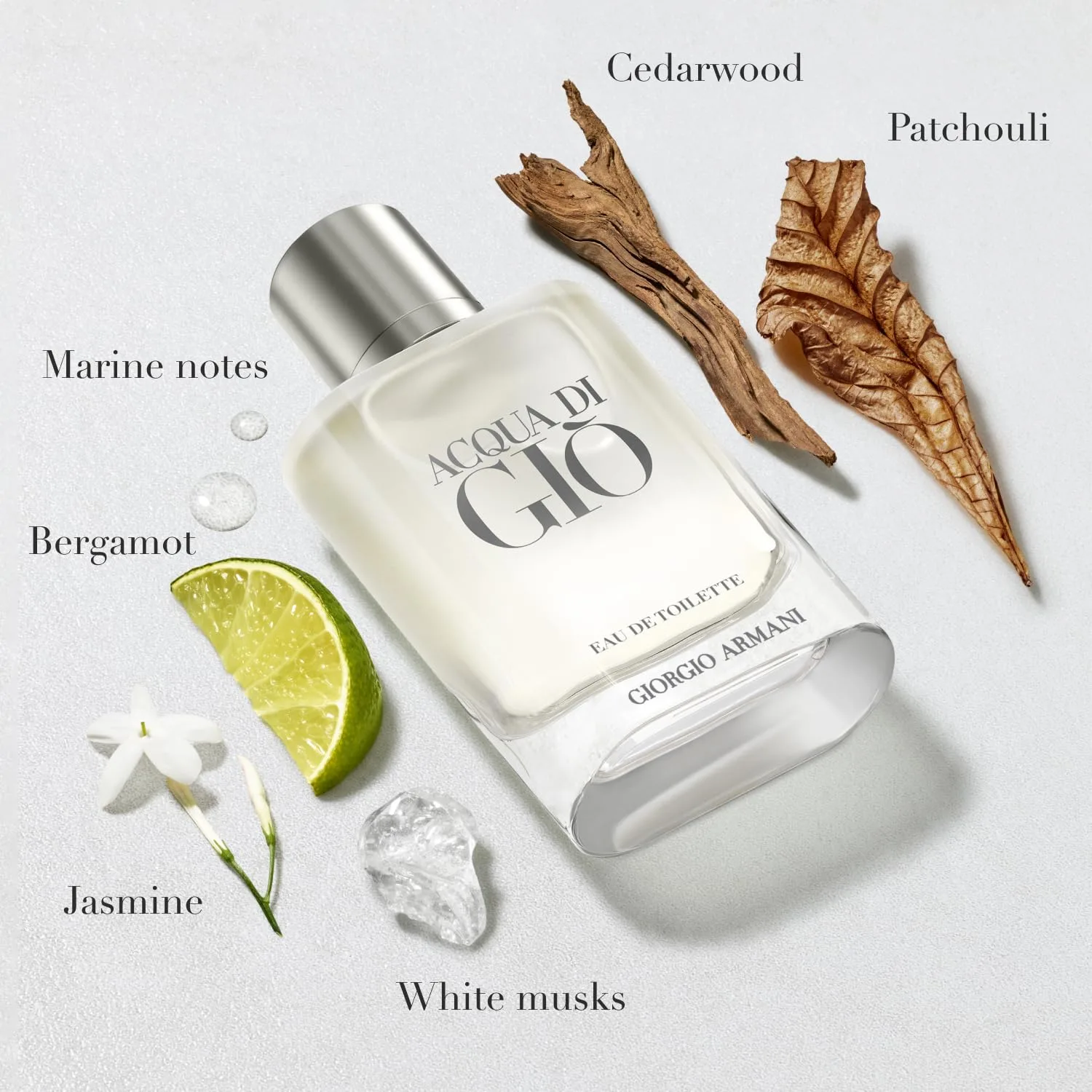 Giorgio Armani Acqua Di Giò Eau de Toilette