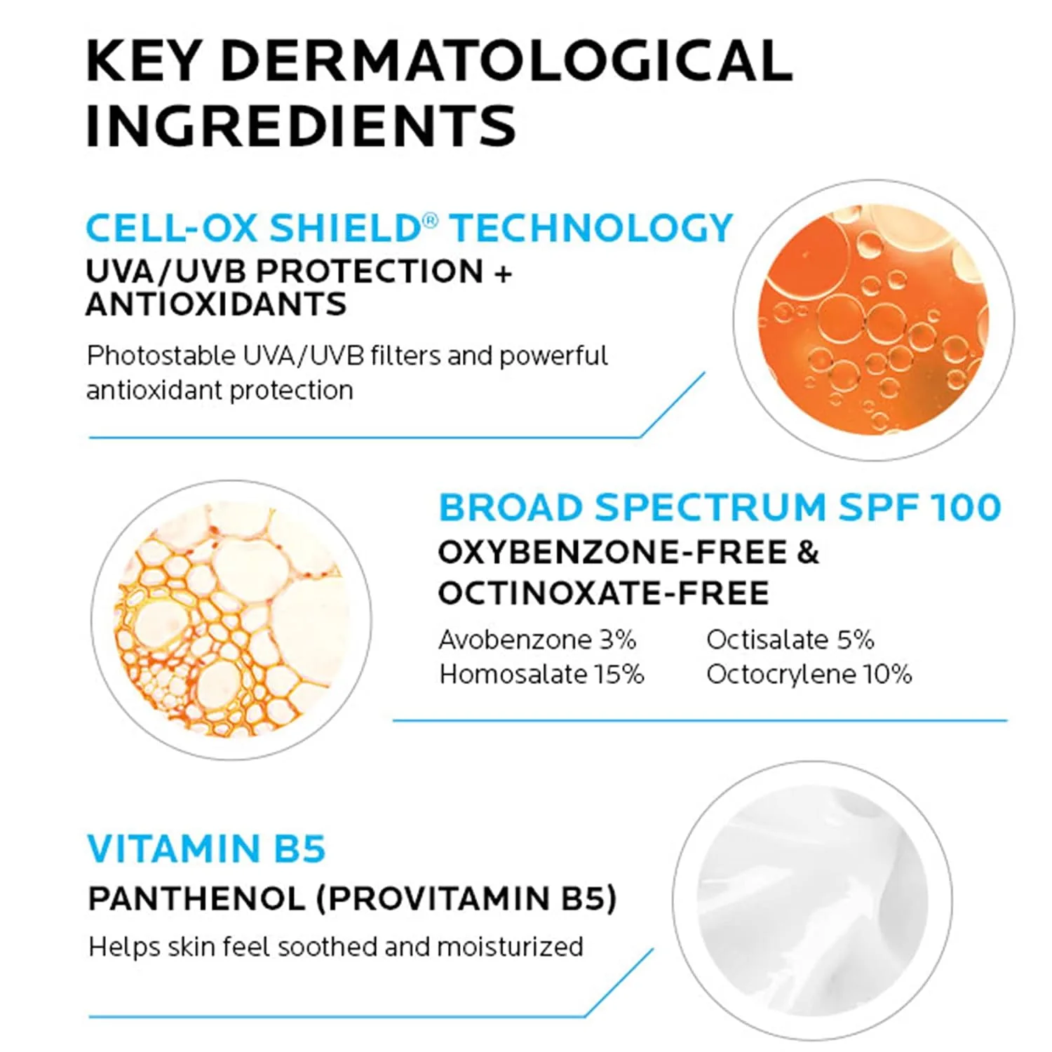 La Roche-Posay Anthelios Melt-In Milk Sunscreen for Face & Body SPF 100
